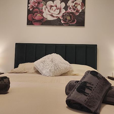 Apartman Lavanda -Zadar Extérieur photo
